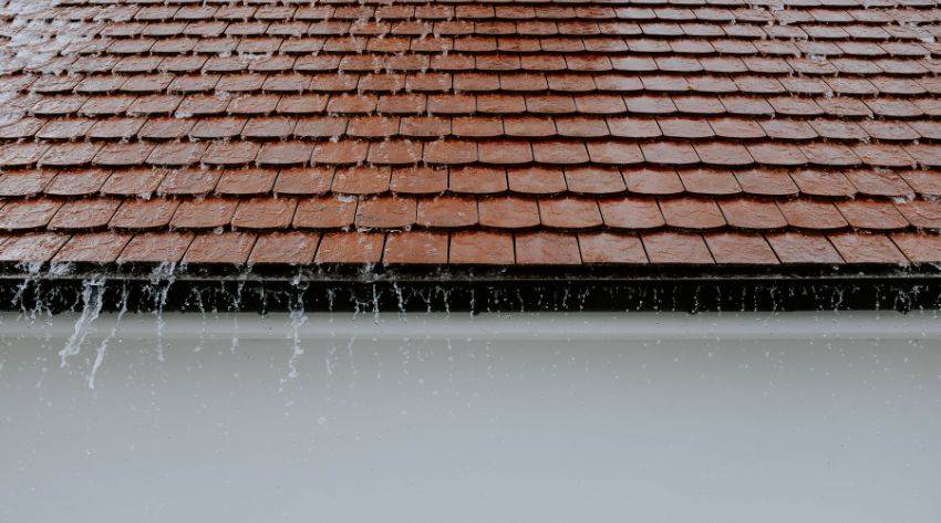 The Dangers of a Leaky Roof: Mould, Structural Damage & Rising Costs